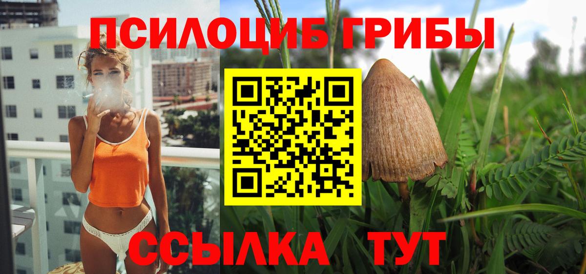 Кириши  Псилоцибиновые грибы прущие грибы  Вход с VPN 